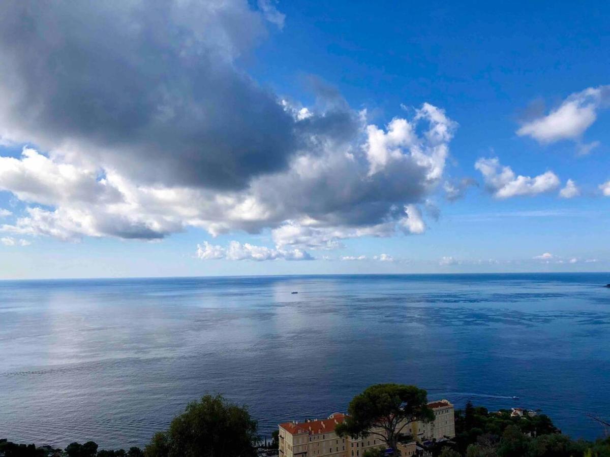Viangella - Dramatic Sea View! Top Floor 2Km To Monaco Cap-d'Ail Ngoại thất bức ảnh